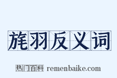 旄羽反义词是什么意思的图片